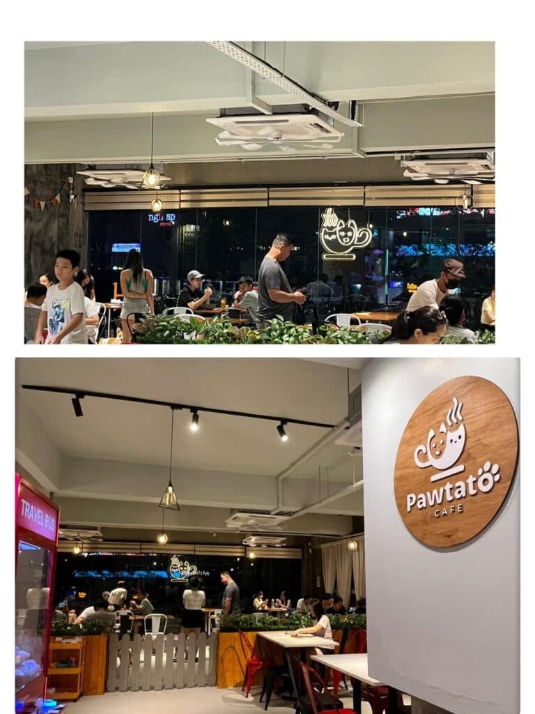 Pawtato Cafe - Pet cafe in Subang Jaya