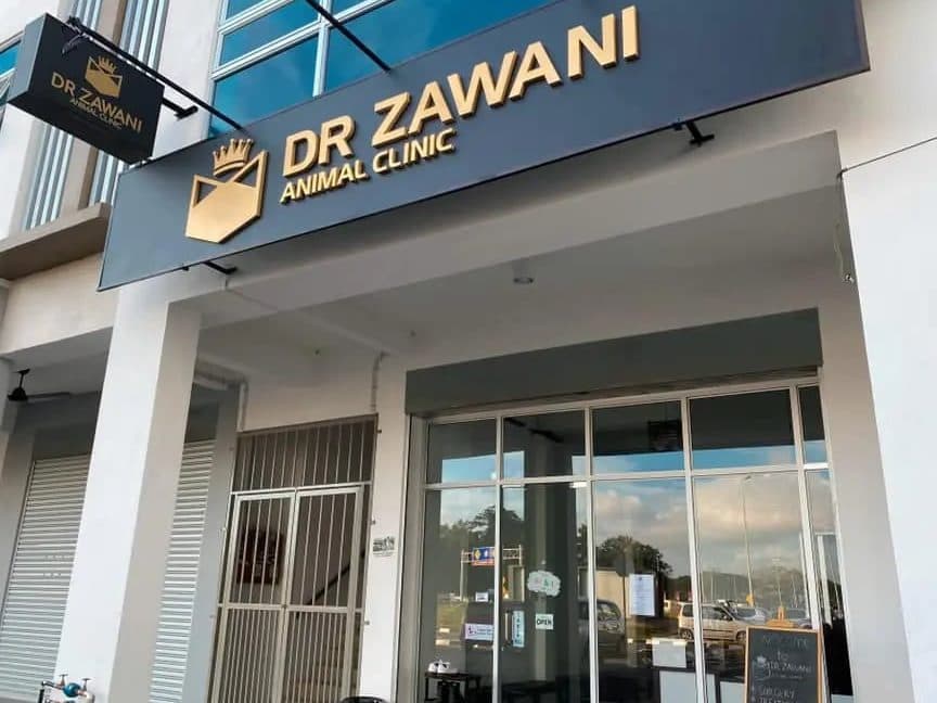 Dr Zawani Animal Clinic Subang Jaya - Vet clinic in Subang Jaya