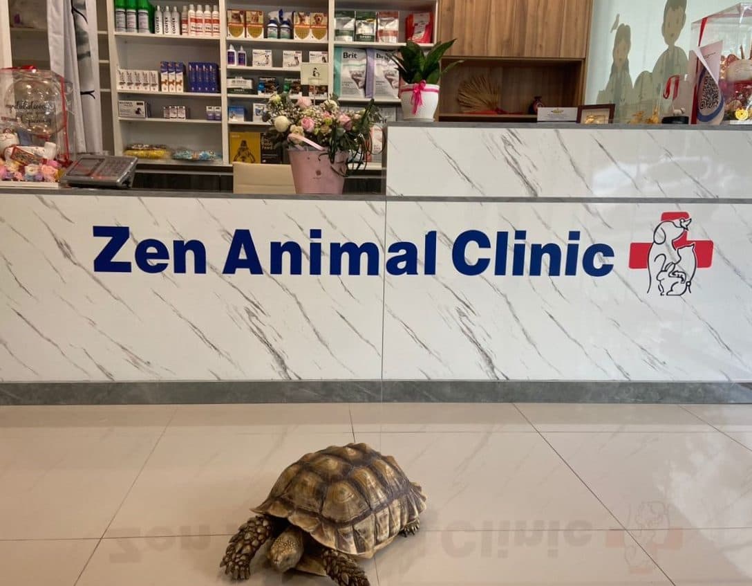 Zen Animal Clinic (Dog Cat and Exotic clinic) - Vet clinic in Subang Jaya